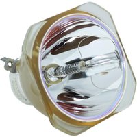 Beamerlampe (nur Leuchtmittel) für RICOH (ersetzt: 308933, LAMP TYPE 7) von Ushio