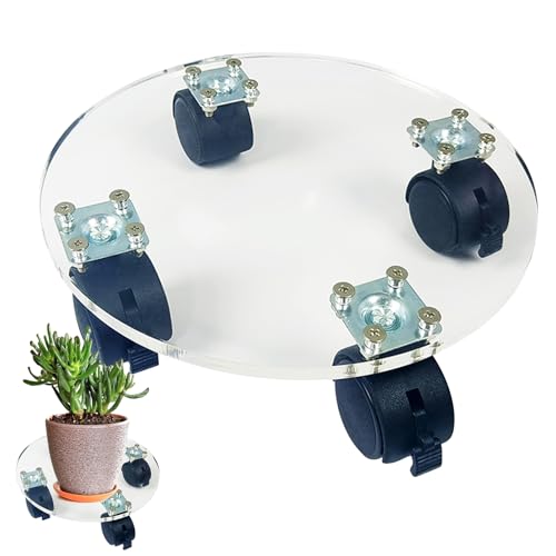 NevPuose Rolling Pflanzer - Caster Plant Base, Potentablett Coaster | Schwerlast -Blumen - -Träger, große runde Moverteller, mobiler Stützständer mit n, Gartenbehälteraufzug mit Abflusslöchern NevPuose Rolling Pflanzer - Caster Plant Base, Potentablett Coaster | Schwerlast -Blumen - -Träger, große runde Moverteller, mobiler Stützständer mit n, Gartenbehälteraufzug mit Abflusslöchern von NevPuose