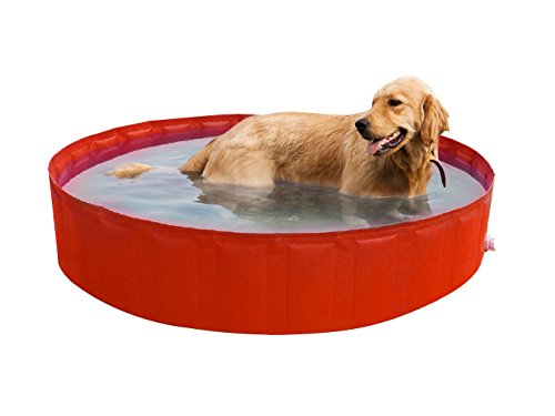 New Plast My Dog Pool 220 Pool für Hunde, 35,5 x 15 x 5,5 cm, orange von Newplast