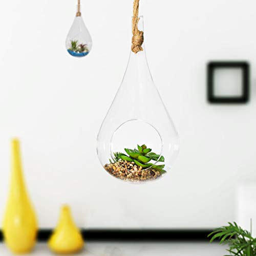 Rope Glaskugel, 11,9 cm x 22,7 cm, zum Aufhängen, aus transparentem Glas, Tropfenform, Terrarium, hängende Sukkulenten, Luftpflanzen, Halter für Gartenversorgung von NewDreamWorld