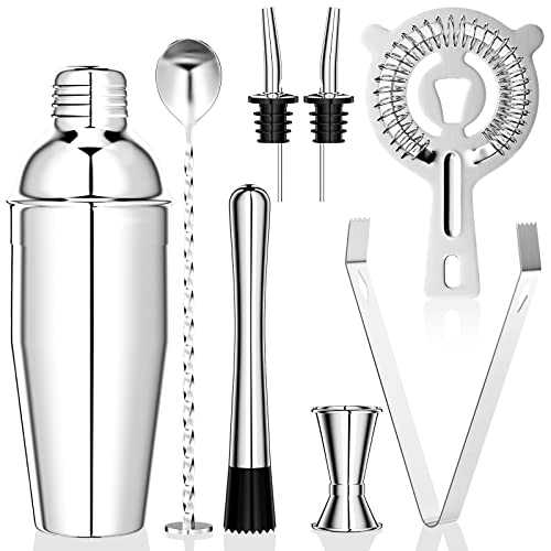 Newaner 750 ML cocktail set, 8 stück edelstahl shaker mixer, professionelle barkeeper zubehör, mit shaker, doppel messbecher, löffel, Pourer, zum mischen von getränken, zuhause, bar, party (Silber) von Newaner