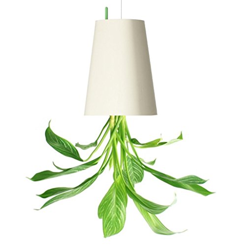 NEWCOM Umgedrehter Blumentopf zum Aufhängen, groß, weiß NEWCOM Umgedrehter Blumentopf zum Aufhängen, groß, weiß von Newcom