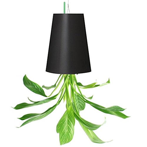 NEWCOM Umgedrehter Blumentopf zum Aufhängen, klein, Schwarz NEWCOM Umgedrehter Blumentopf zum Aufhängen, klein, Schwarz von Newcom