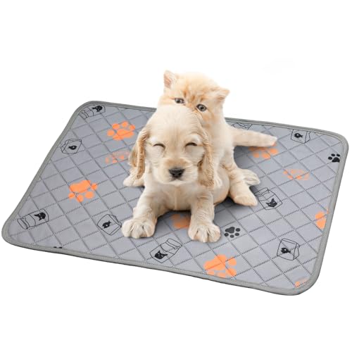 Newentor Waschbare Haustierunterlage – 2er Set M Grau Newentor Waschbare Haustierunterlage – 2er Set M Grau von Newentor