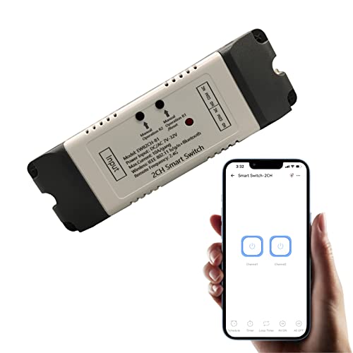 Newgoal 2 Kanal Smart Schalter, Momentan/Verriegelungs WiFi Relais, eWeLink APP Bluetooth Steuerschalter, DIY Smart Home, kompatibel mit Alexa Google Home von Newgoal