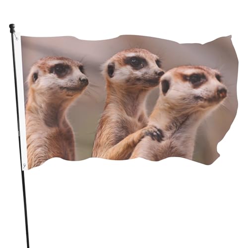 Drei braune Erdmännchen-Flaggen für den Außenbereich, doppelseitige lichtbeständige Hausflagge, 90 x 150 cm Polyester Hofbanner, Hissflagge für Rasen Garten Heimdekoration mit 2 Ösen Drei braune Erdmännchen-Flaggen für den Außenbereich, doppelseitige lichtbeständige Hausflagge, 90 x 150 cm Polyester Hofbanner, Hissflagge für Rasen Garten Heimdekoration mit 2 Ösen von Newhomestyle