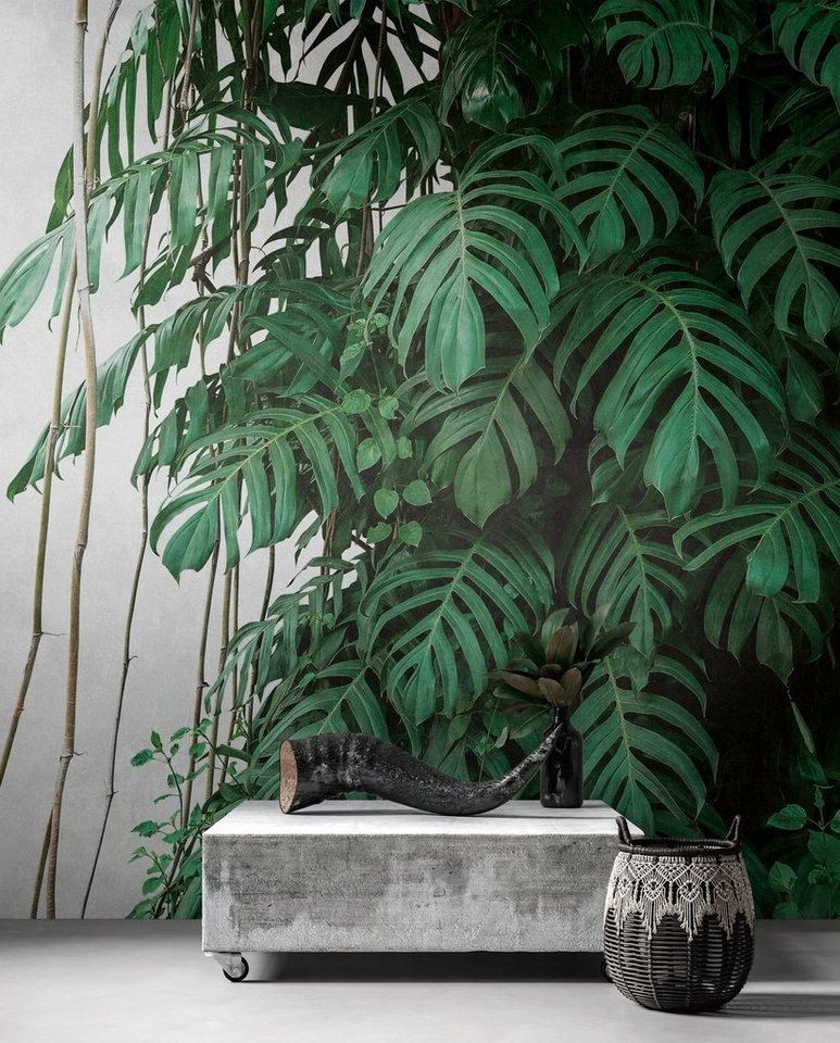 Newroom Vliestapete, [ 2,8 x 3,71 m ] großzügiges Motiv - kein wiederkehrendes Muster - nahtlos große Flächen möglich - Fototapete Wandbild Dschungel Palmen Blätter Made in Germany von Newroom