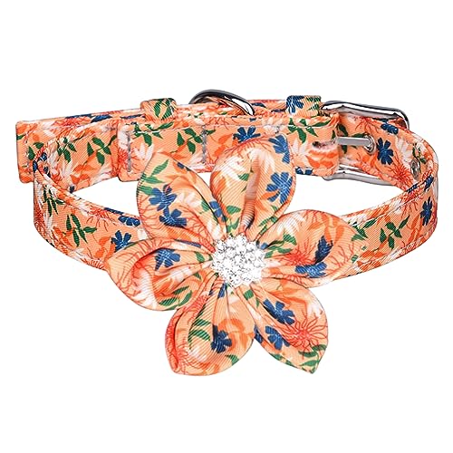 Newtensina Abnehmbares Blumen Hundehalsband Welpenhalsband für kleine Hunde - Orange - XS von Newtensina