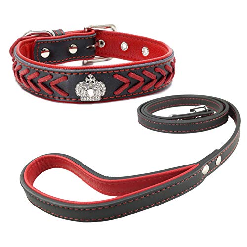 Newtensina Hundehalsband und Leine Set Nylonbänder gewebter Bling Kragen Leder Diamante Welpen Halsband mit Leinen für Hunde - Red - M von Newtensina