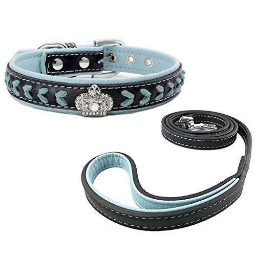 Newtensina Hundehalsband und Leine Set Nylonbänder gewebter Bling Kragen Leder Diamante Welpen Halsband mit Leinen für Hunde - Blue - M von Newtensina