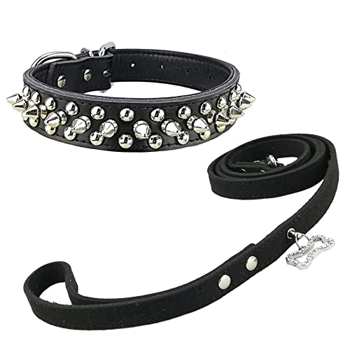 Newtensina Mode Hund Nieten Halsband mit Leine Cool Punk Hundehalsband mit weichen Leinen für kleine Hunde von Newtensina