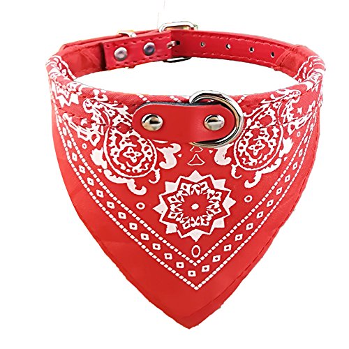 Newtensina Mode Hundebandana Halsband HundeHalsband Junge Mittel Bandana Hündchen Bandana mit Halsband für Hunde - Red - XL von Newtensina