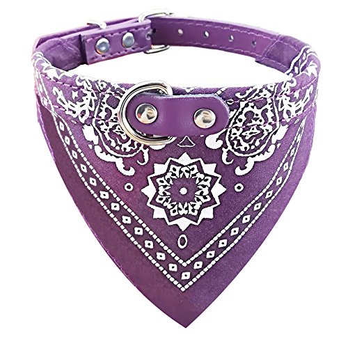 Newtensina Mode Hundebandana Halsband HundeHalsband Junge Mittel Bandana Hündchen Bandana mit Halsband für Hunde - Purple - L von Newtensina