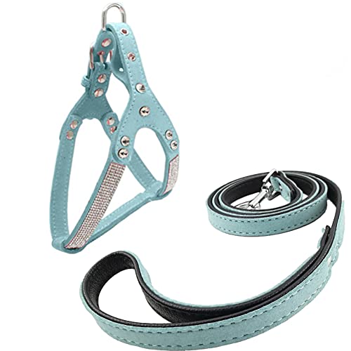 Newtensina Mode Hundegeschirr mit Diamant und Leine Bling Niedlich Hundegeschirr Welpen Geschirr mit Leine für Klein Hunde Mittlere Hunde von Newtensina