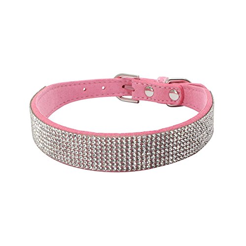 Newtensina Mode Hundehalsband mit Diamante Bling niedlichen Kätzchen Kragen Welpen Halsband für Hunde Katzen Newtensina Mode Hundehalsband mit Diamante Bling niedlichen Kätzchen Kragen Welpen Halsband für Hunde Katzen von Newtensina