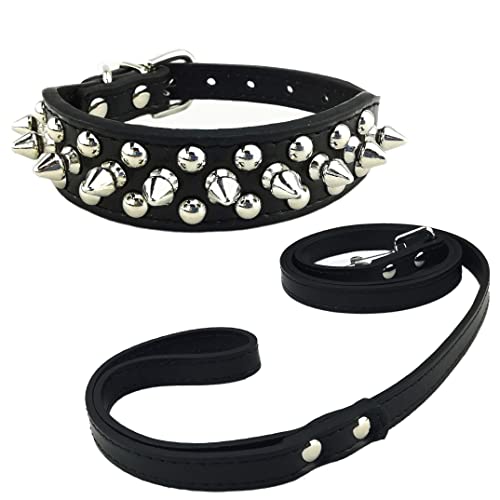 Newtensina Mode Hundehalsband und Leinen Set Weich Nieten Halsband mit Hunde Leinen für Kleine Hunde Mittlere Hunde von Newtensina