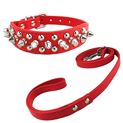Newtensina Mode Hundehalsband und Leinen Set Weich Nieten Halsband mit Hunde Leinen für Kleine Hunde Mittlere Hunde von Newtensina