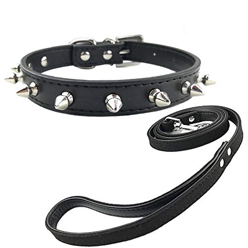 Newtensina Mode Welpen Halsband und Leine mit Nieten Punk Nieten Halsband mit Leine für kleine Hunde von Newtensina