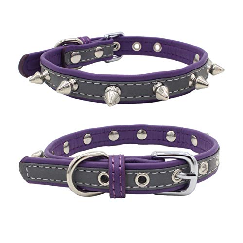 Newtensina Nieten Hundehalsband Reflektierend Welpenhalsband für Kleine Hunde - Purple - L von Newtensina