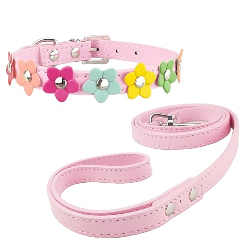 Newtensina Stilvolle Hundehalsband und Leine Set Hundehalsband Mädchen Blume Welpen Halsbänder Leinen für kleine Hunde mit Blume von Newtensina