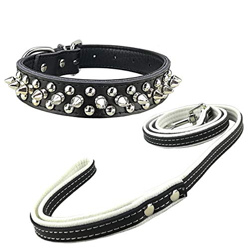 Newtensina Stilvoller Hund Nieten Halsband mit Leine Punk Hundehalsband und Leinen für kleine Hunde Newtensina Stilvoller Hund Nieten Halsband mit Leine Punk Hundehalsband und Leinen für kleine Hunde von Newtensina