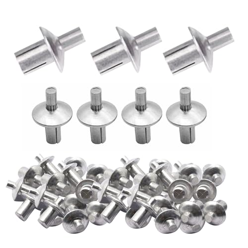 100 Stück Aluminium-Kernnieten Mit Rundkopf Flachrundkopf-Kernniete Aluminium Kernnieten Expansion Runde Kopf Aluminium Nagel Flacher Kern-Gewindeniet Mit Rundem Kopf (500pcs) von Nexoria