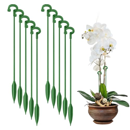Pflanzenstütze, 50 Stück Pflanzenhalter Kunststoff Orchideen Stäbe, Blumenstütze Zimmerpflanzen Pflanzenhalter Rankhilfe Staudenhalter Pflanzen Stabilisieren Stab Blumenhalter für Topfpflanzen (27cm) Pflanzenstütze, 50 Stück Pflanzenhalter Kunststoff Orchideen Stäbe, Blumenstütze Zimmerpflanzen Pflanzenhalter Rankhilfe Staudenhalter Pflanzen Stabilisieren Stab Blumenhalter für Topfpflanzen (27cm) von Nexoria