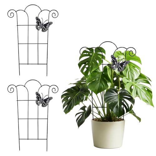 Rankgitter Metall, 2 Stück Rankhilfe Zimmerpflanzen Rankgitter für Kletterpflanzen Pflanzenstütze Metall Pflanzen Rankhilfe Rankhilfe für Kletterpflanzen Gartenspalier für Tomaten Blumen, 30*40cm (C) Rankgitter Metall, 2 Stück Rankhilfe Zimmerpflanzen Rankgitter für Kletterpflanzen Pflanzenstütze Metall Pflanzen Rankhilfe Rankhilfe für Kletterpflanzen Gartenspalier für Tomaten Blumen, 30*40cm (C) von Nexoria
