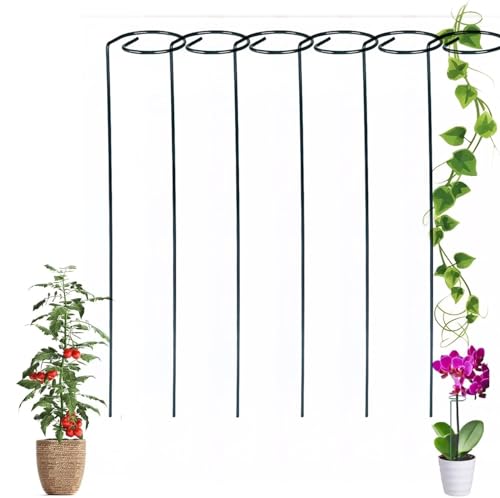 Tomaten Rankhilfe 40cm, 4/10 Stück Tomatenstäbe Pflanzenstütze Rankhilfe Tomaten Spiral Tomatenstäbe Strauchstütze Tomatenstangen Pflanzstäbe Rankhilfe Unterstützung für Tomaten Blumen (A-10pcs) von Nexoria