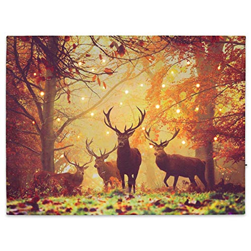 LED Wandbild Leinwandbild mit Beleuchtung Fotodruck Hirsch 30x40 cm Kunstdruck Leuchtbild Effekt-LED Herbst-Dekoration Hirschrudel Mischwald Jäger Heimat von Nexos Trading