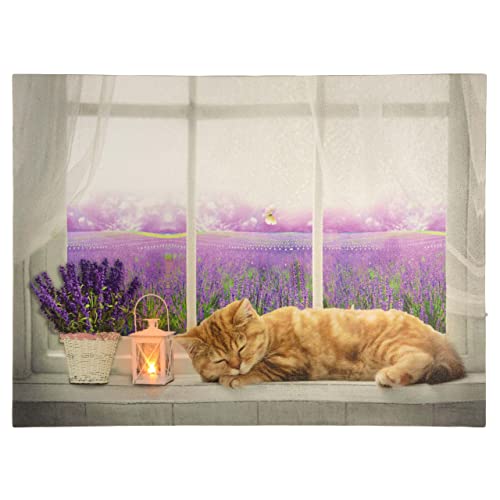 Nexos Trading LED Wandbild Leinwandbild mit Beleuchtung Fotodruck Lavendelfeld 30 x 40 cm 1 LED warm weiß Kunstdruck Leuchtbild Wiese Vintage-Stil Lavendelfeld Katze von Nexos Trading