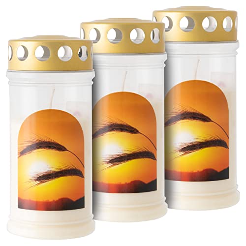Nexos Trading 3er Set Grablicht transparent Premium 4 Tage Motiv Ähre Grabkerze 17x7,5 cm Nexos Trading 3er Set Grablicht transparent Premium 4 Tage Motiv Ähre Grabkerze 17x7,5 cm von Nexos Trading