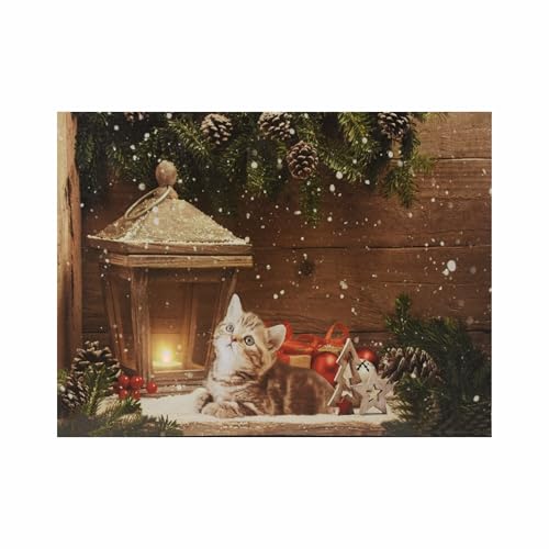Nexos Trading LED Wandbild Beleuchtung 30x40 cm Kätzchen in Winterstube Faser LED Fotodruck Kunstdruck Leuchtbild Weihnachten Batterie Timer 40 Glasfiber Effekt-LED Weihnachtsabend von Nexos Trading