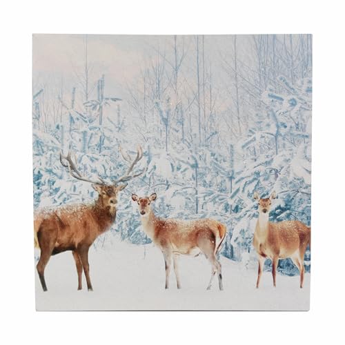 Nexos Trading LED Wandbild Beleuchtung 40x40 cm Winterwald 40 Glasfaserstränge weiß LED Fotodruck Kunstdruck Leuchtbild Winter Batterie Timer LED von Nexos Trading