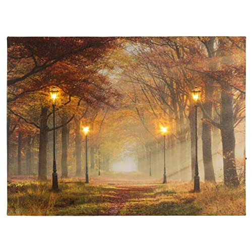 Nexos Trading LED Wandbild Leinwandbild mit Beleuchtung Fotodruck Allee im Herbst 30 x 40 cm 4 LED warm weiß Timer Kunstdruck Leuchtbild Wiese Vintage-Stil Waldweg von Nexos Trading