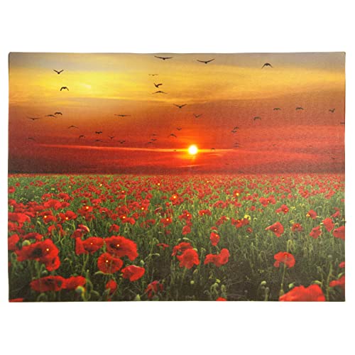 Nexos Trading LED Wandbild Leinwandbild mit Beleuchtung Fotodruck Mohnfeld 30 x 40 cm 1 LED warm weiß 30 Glasfaser Kunstdruck Leuchtbild Wiese Vintage-Stil Mohn Sonnenuntergang von Nexos Trading