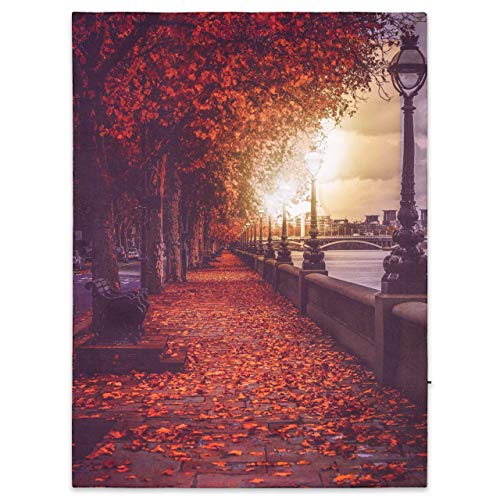 Nexos Trading LED Wandbild Leinwandbild mit Beleuchtung Fotodruck Spree Promenade 30x40 cm Kunstdruck Leuchtbild Effekt-LED Herbst-Deko Park Flussufer LED-Bild von Nexos Trading