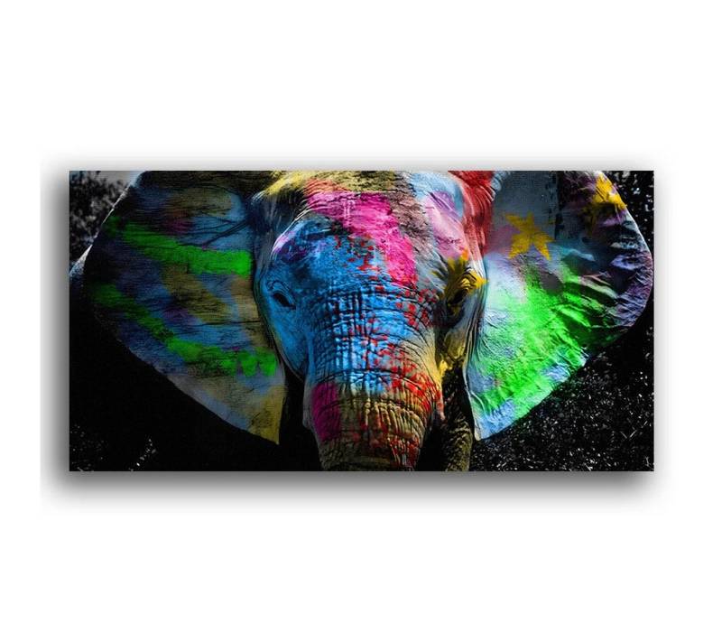 Next Level Canvas Wandbild Color Elephant Next Level Canvas Wandbild Color Elephant von Next Level Canvas
