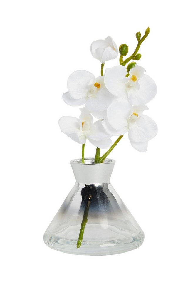 Künstliche Zimmerpflanze Kleine, künstliche Orchidee, Next von Next