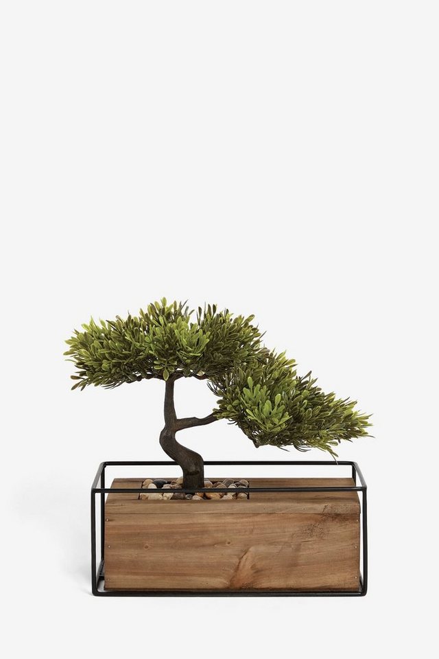 Kunstbonsai Bronx Künstlicher Bonsaibaum in Holztopf, Next von Next