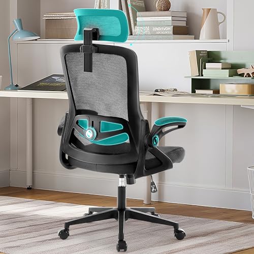 Nexthro Bürostuhl, ergonomischer Schreibtischstuhl mit Lendenwirbelstütze, Kopfstütze, Bürostühle für Zuhause mit verstellbarer hochklappbarer Armlehne, Netz-Computerstühle für Heimbüro (schwarz) von Nexthro