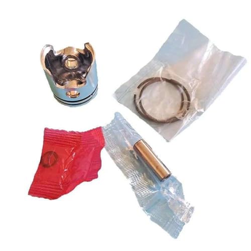 TL23 PISTON 31mm kompatibel mit TB23 TU23 TLE23 STRIMMERS PIBERTCUTTER TL23 PISTON 31mm kompatibel mit TB23 TU23 TLE23 STRIMMERS PIBERTCUTTER von NexusDrive