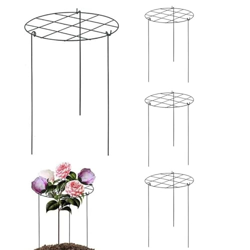 Nexusectar Pfingstrosen-Stützen Und Halterungen | Stützen Für Gartenblumen | 4 Stück Robuster Pflanzenring Für, Hortensien, Erdbeeren, Tomaten Im Garten, Gewächshaus Und Hochbeet Nexusectar Pfingstrosen-Stützen Und Halterungen | Stützen Für Gartenblumen | 4 Stück Robuster Pflanzenring Für, Hortensien, Erdbeeren, Tomaten Im Garten, Gewächshaus Und Hochbeet von Nexusectar