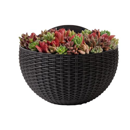 Nexusectar Wand Pflanzentopf | Innen Wand Blumentopf Imitation Rattan,Modern Halbkreisförmig Zimmerpflanzen Behälter Für Zaun Wohnung Balkon Garten Terrasse Nexusectar Wand Pflanzentopf | Innen Wand Blumentopf Imitation Rattan,Modern Halbkreisförmig Zimmerpflanzen Behälter Für Zaun Wohnung Balkon Garten Terrasse von Nexusectar