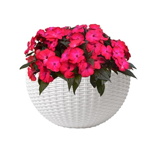 Nexusectar Wand Pflanzentopf | Innen Wand Blumentopf Imitation Rattan - Halbkreisförmiger Übertopf für Balkon Wohnung Garten Terrasse Orchidee Efeutute Nexusectar Wand Pflanzentopf | Innen Wand Blumentopf Imitation Rattan - Halbkreisförmiger Übertopf für Balkon Wohnung Garten Terrasse Orchidee Efeutute von Nexusectar
