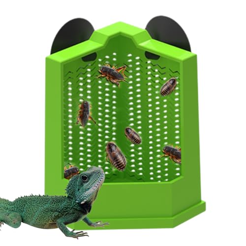Typisches Futternapf Für Reptilien, Futternapf Für Geckos | Reptilien-Futternäpfe Reptilien-Futterspender | Saugnapf-Gecko-Futternapf, Reptiliennapf, Terrarium-Futternapf, Fluchtschutz Für, von Nexusectar