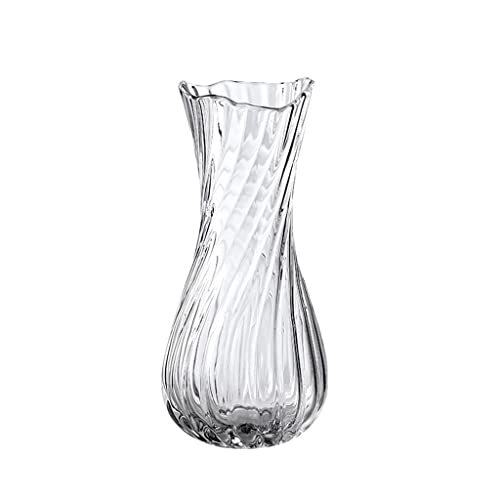 Nff Glasvase, 20 cm Unregelmäßige Transparente Glasblumenblumen Vase Wohnzimmer Esstisch Hotel Hochzeit Moderne Dekoration Vase (Color : Transparent, Size : 25.5x9cm) von Nff