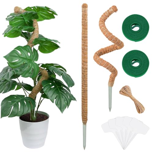 Monstera Rankhilfe Moosstab 2er Set - 63 cm Flexible Pflanzenstütze, Pflanzenstab für Monstera, Handmade Coco Coir Pole Plant Support for Creeper Plants Grow Up Monstera Rankhilfe Moosstab 2er Set - 63 cm Flexible Pflanzenstütze, Pflanzenstab für Monstera, Handmade Coco Coir Pole Plant Support for Creeper Plants Grow Up von Nhcuijun
