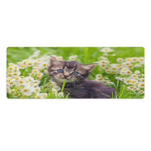 Großes Gaming-Mauspad, Kätzchen, Kamillenblüten-Druck, Schreibtischmatte, rutschfeste wasserdichte Gummiunterseite, verlängerte lange Schreibtischunterlage, Tastaturmatte, Mauspads Großes Gaming-Mauspad, Kätzchen, Kamillenblüten-Druck, Schreibtischmatte, rutschfeste wasserdichte Gummiunterseite, verlängerte lange Schreibtischunterlage, Tastaturmatte, Mauspads von Niapessel