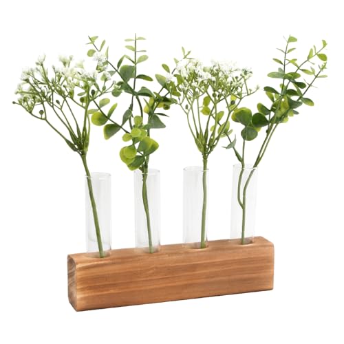 Kleine Reagenzglas Vasen, Reagenzglas Vase mit 4 Rohr mit Reinigungsbürste, Hydroponik Pflanzer Vermehrungsstation, Hydrokultur Glas Kleine Vasen Deko Set, für Büro Haus Garten Dekor von NiceLand